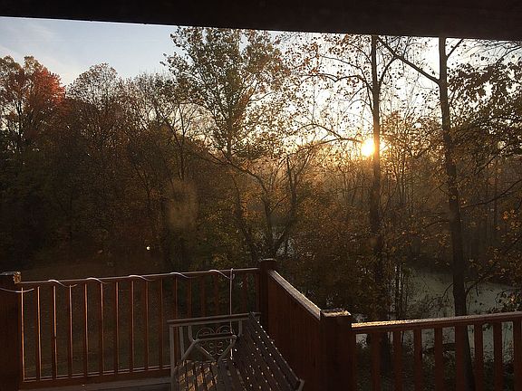 Sun coming up over trees