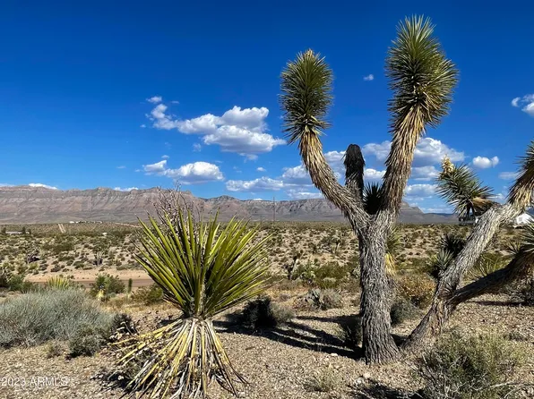 29605 N POWELL Drive #373, Meadview, AZ 86444