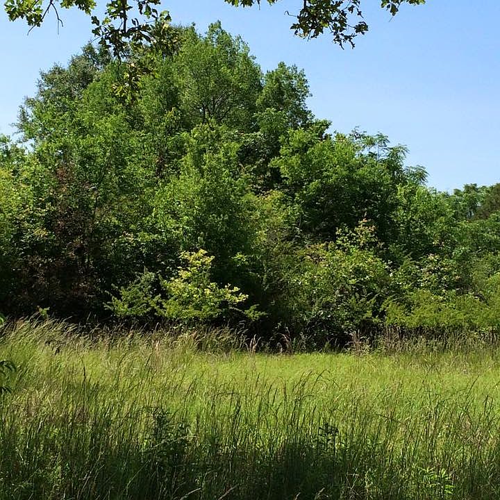 2nd image of 161 Owens Rd