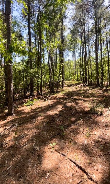 1st image of 537 Private Road 7949