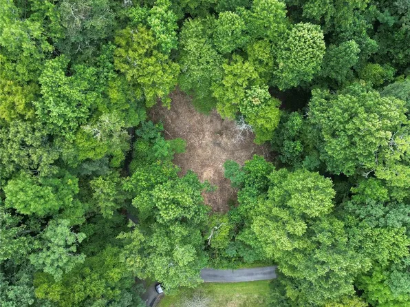 Woodchuck Ln #17D, Brevard, NC 28712