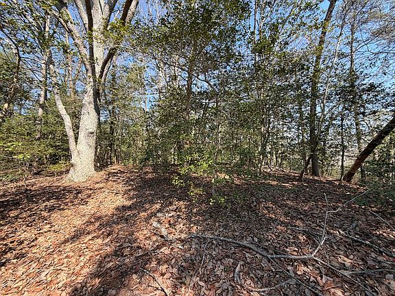 5th image of 600 Whays Creek Rd