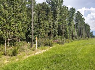 0 Old Valdosta Rd, Ray City, GA 31645