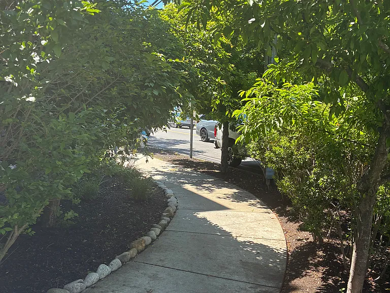 54 Bay State Rd #1 — Photo 6