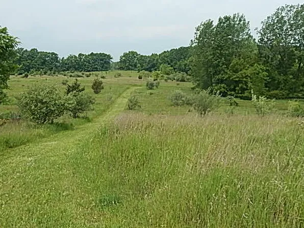 2855 Oakley Rd, Stockbridge, MI 49285