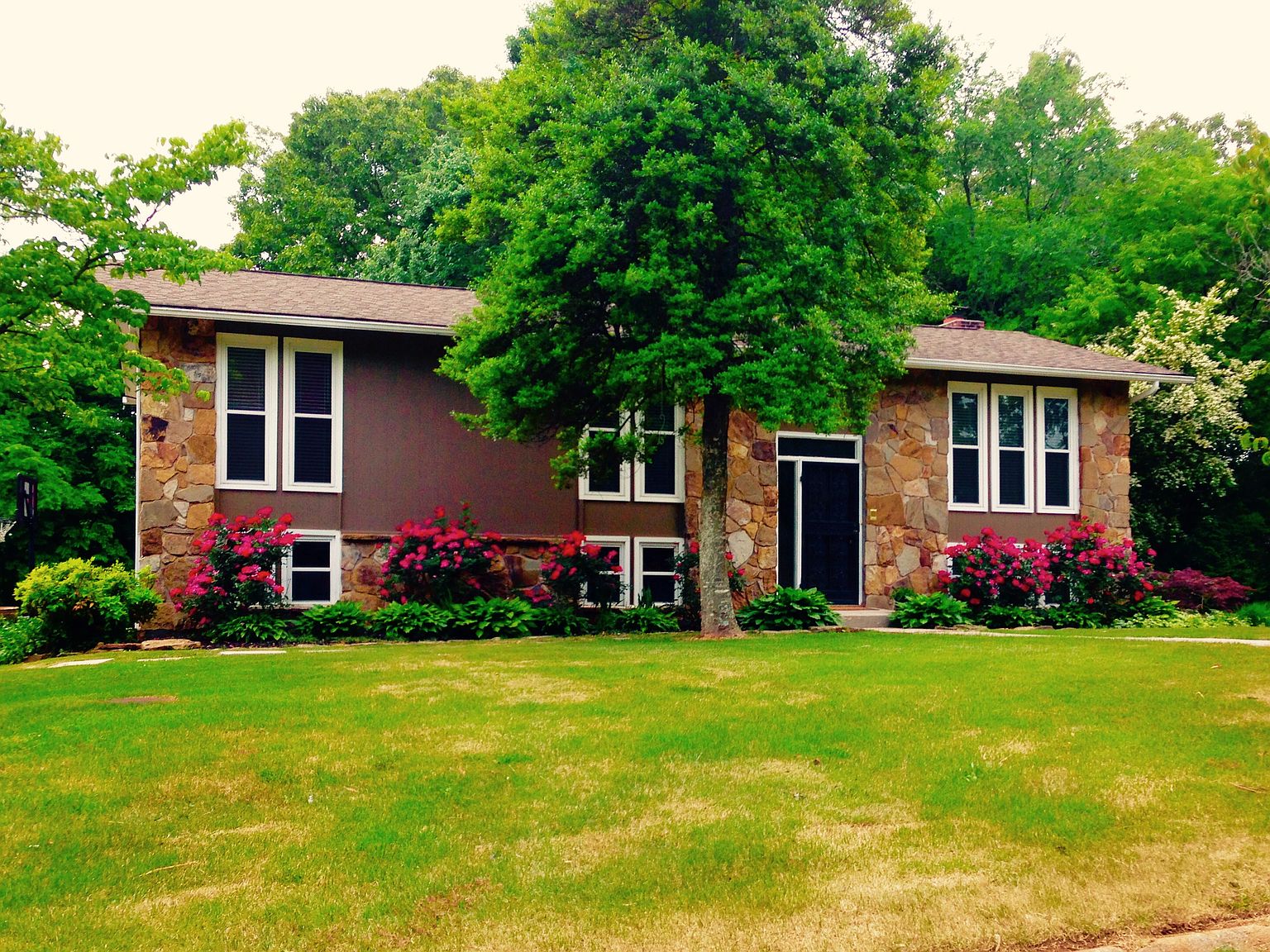 729 Hardwicke Dr, Knoxville, TN 37923 Zillow