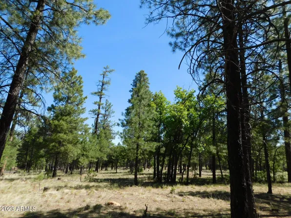 2133 Pine Canyon Drive #176, Happy Jack, AZ 86024