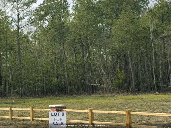 19103 State Highway 444, Livingston, LA 70754