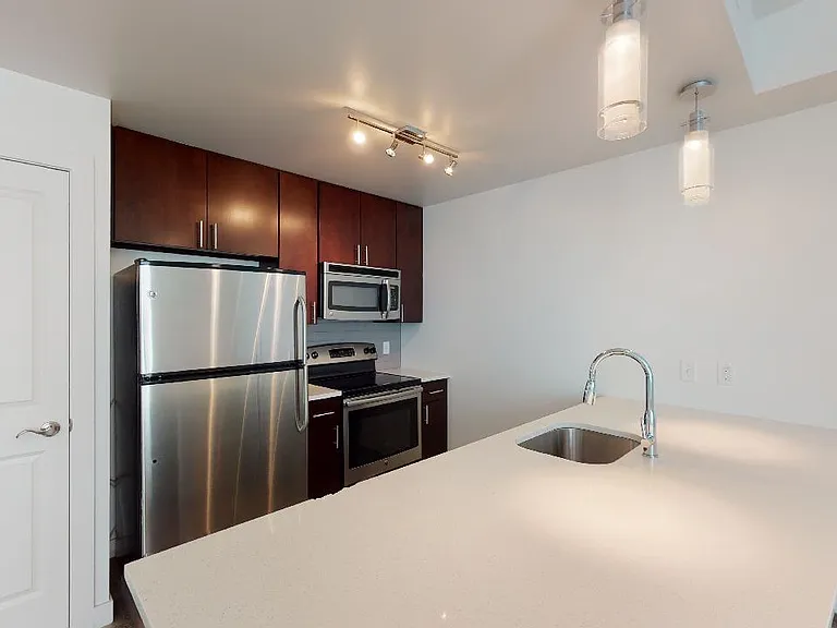 Apartment kitchen with stainless steel appliances, quartz countertops and wood-style flooring.