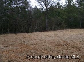 2nd image of 197 Sidesaddle Ct Lot 59