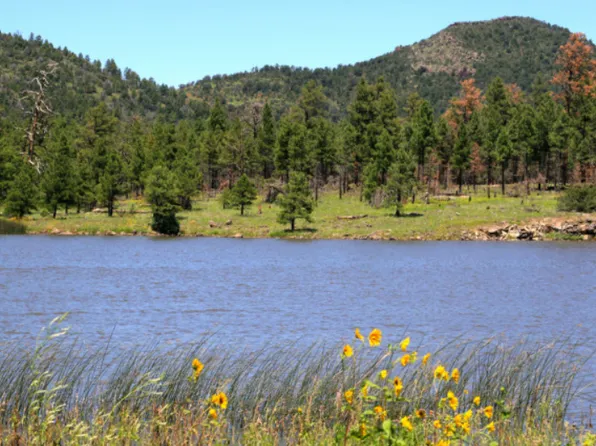 3278 N Cleo Dr, Williams, AZ 86046