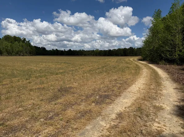 0 Rocky Ford Rd, Garfield, GA 30425