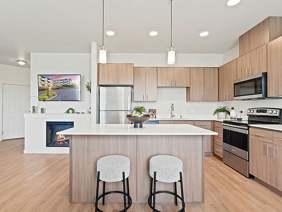 Modern Kitchen