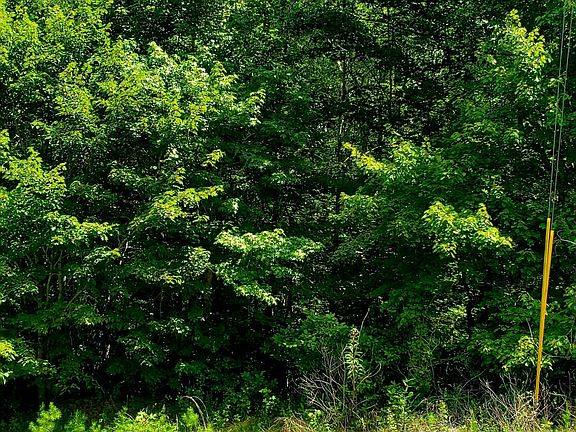 2nd image of 0 Green Brier Ln #10
