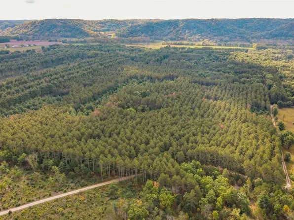Vacant Land Hwy #133, Muscoda, WI 53573
