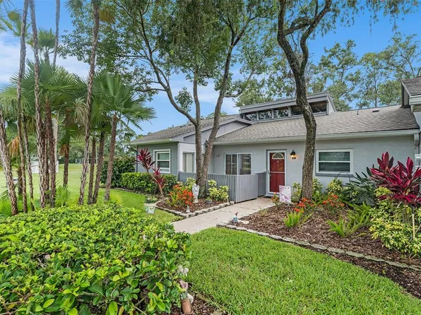 20 Iris Pl, Oldsmar, FL 34677