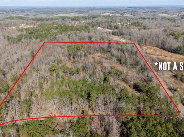 455 Mount Olive Rd, Michie, TN 38357