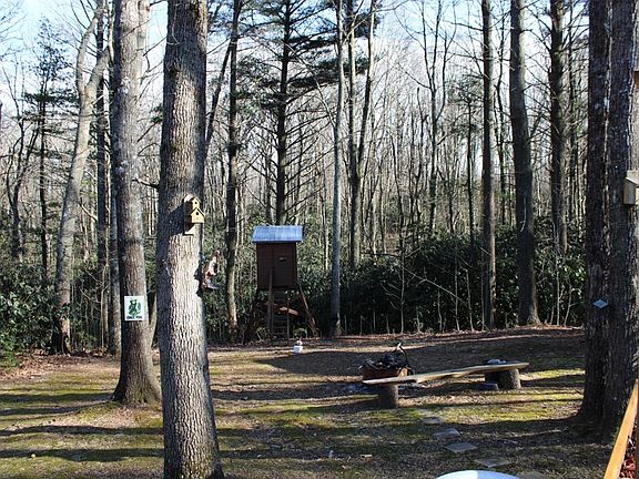 5th image of 80 Cabin Village Ln