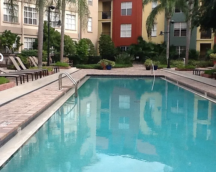 2411 W Horatio St #518 — Photo 3