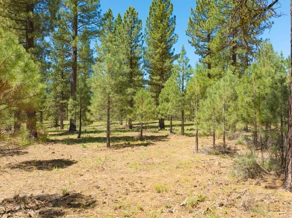 1810 Valley Ranch Dr, Clio, CA 96106