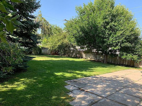 Well-shaded back yard area