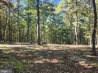 Mill Mountain Rd, Romney, WV 26757