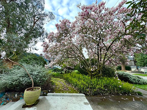 Always something happening in the garden.