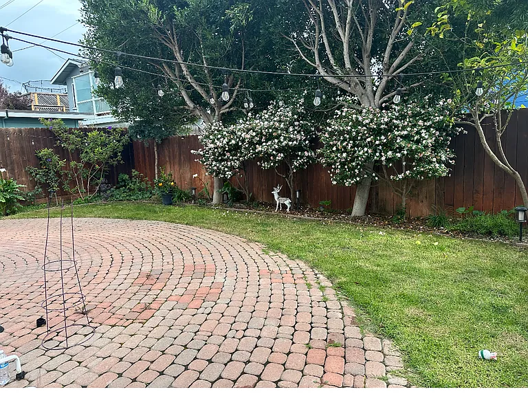 Bonita St — Photo 10