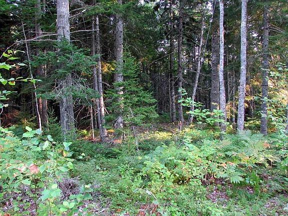 2nd image of 00 Tall Pine Drive