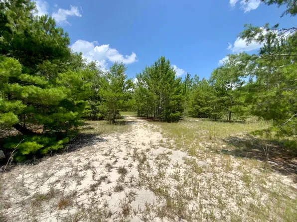 Vacant Se Hammerly St, Lee, FL 32059