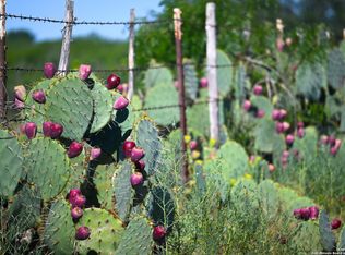 LOT 36 County Road 2500 LOT 36, Bigfoot, TX 78005