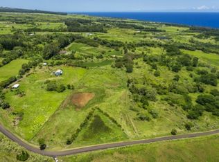 29-2334 Kaiwiki Homestead Rd #6C, Hakalau, HI 96710