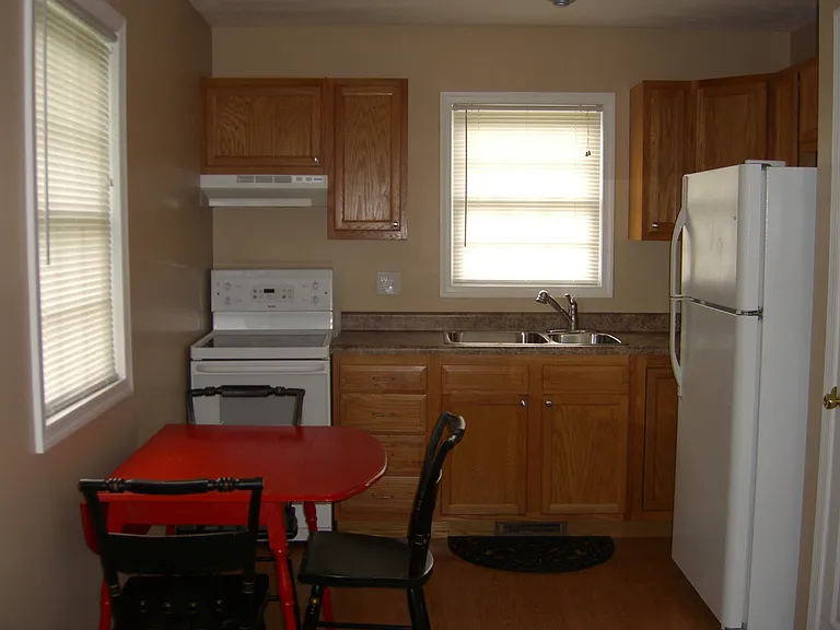 115 Old Buena Vista Rd — Photo 5