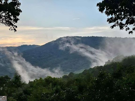 3rd image of 188 Tea Berry