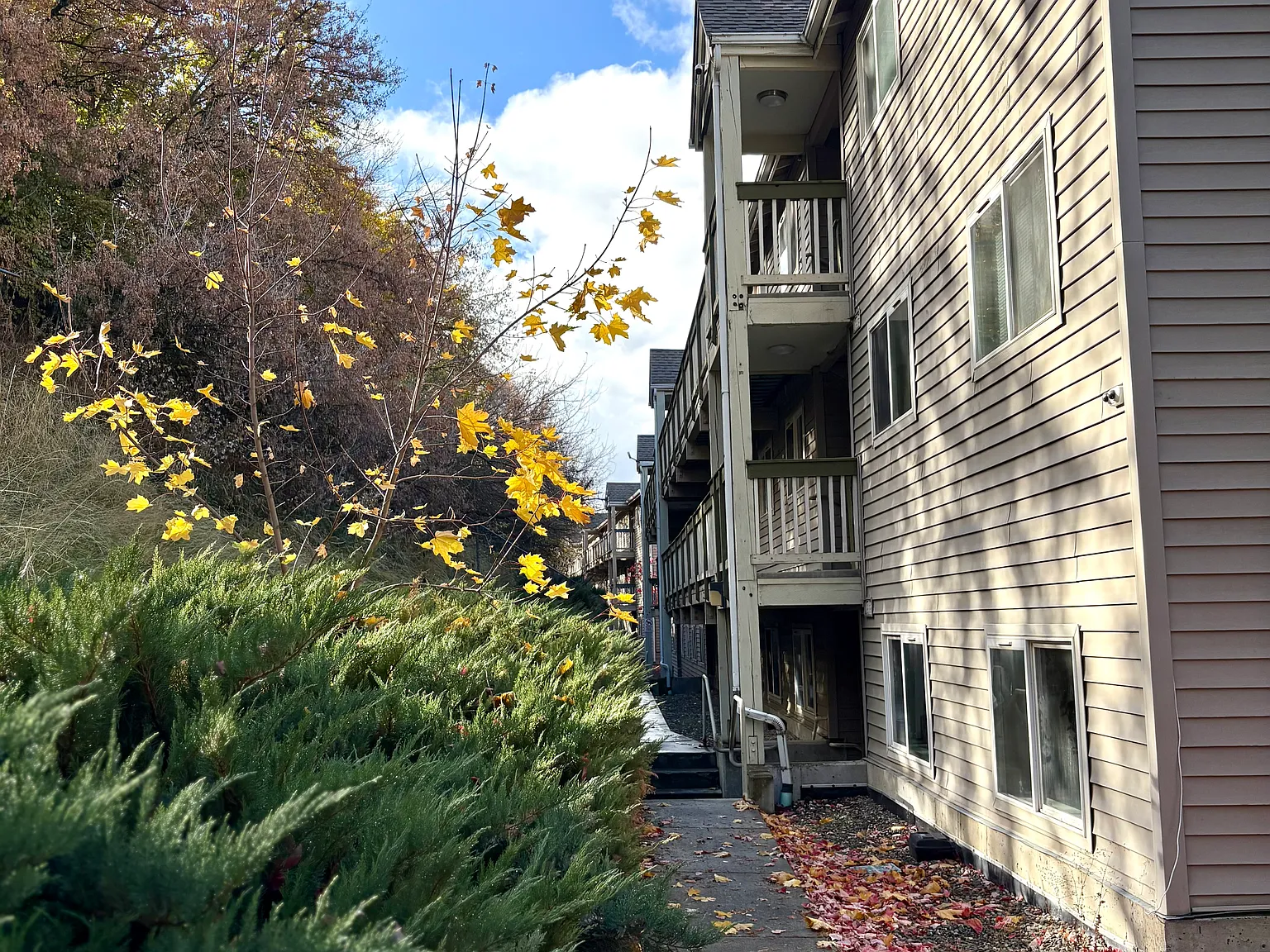 Outlook Apartments — Photo 2
