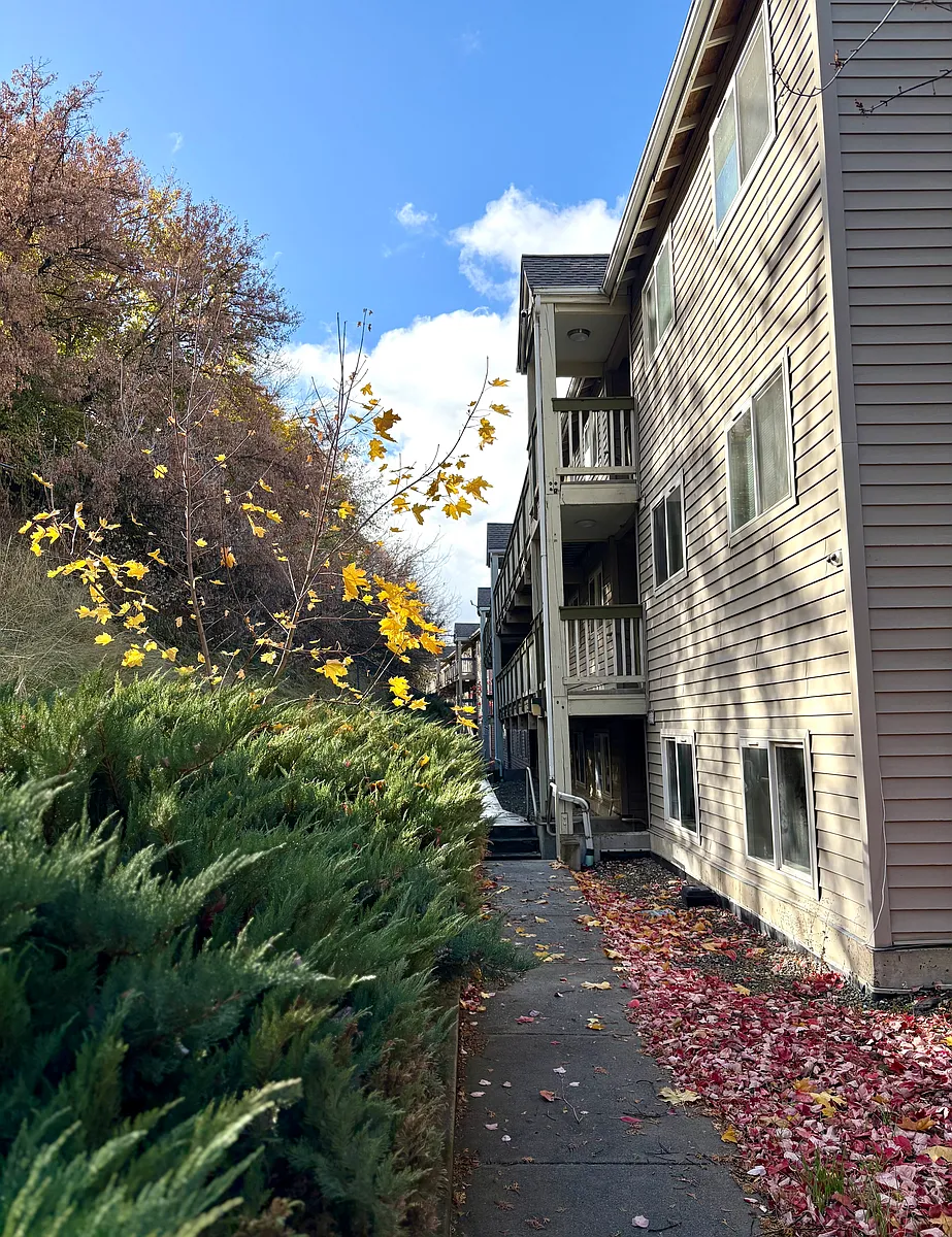 Building Photo - Outlook Apartments