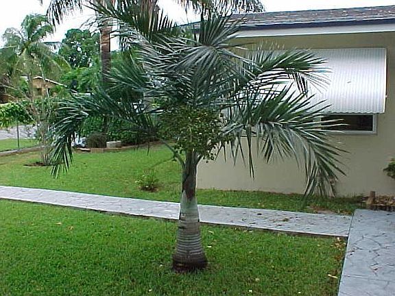 Hurricane shutters