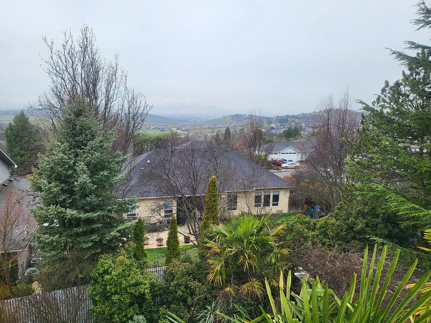 5 bed 3 bath — Photo 4