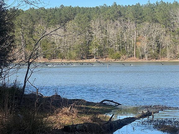 5th image of 1802 Goings Rd