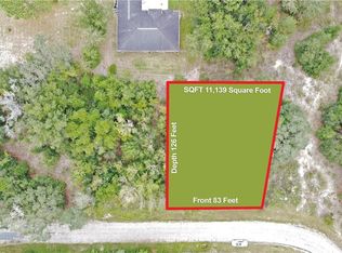 449 W Maffet Pl, Citrus Springs, FL 34434