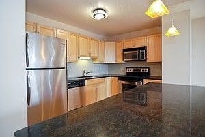 4th image of 1255 N Sandburg Ter #1507E