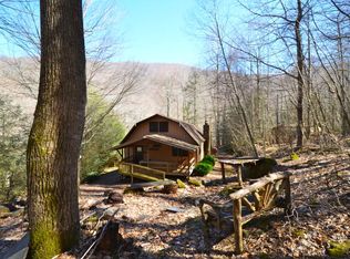 314 Cold Spring Rd, Burnsville, NC 28714