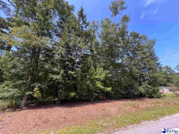 277 Byrnes Cir, Johnsonville, SC 29555