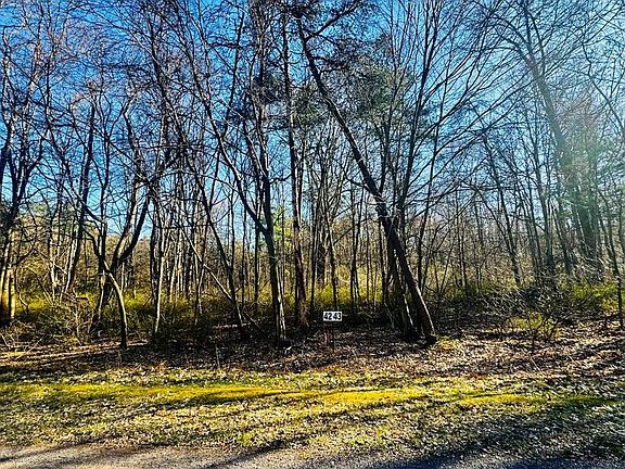 3rd image of LOT 43 Paradise Rd