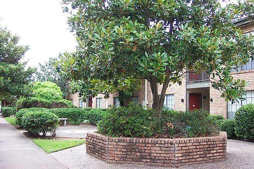 3rd image of 10300 Harwin Dr APT 253
