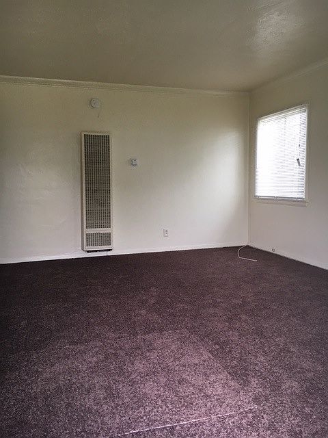 1st image of 1009 1/2 E Hyde Park Blvd