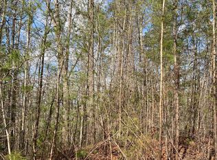 3 Cohutta Overlook Dr #II, Blue Ridge, GA 30513