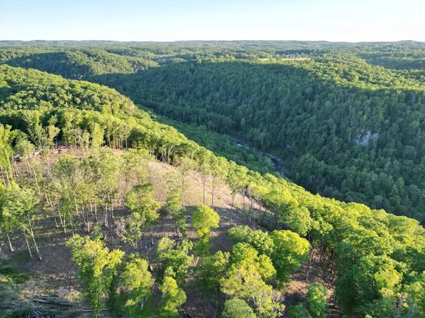 794 Ridge Run Rd, Mount Lookout, WV 26678