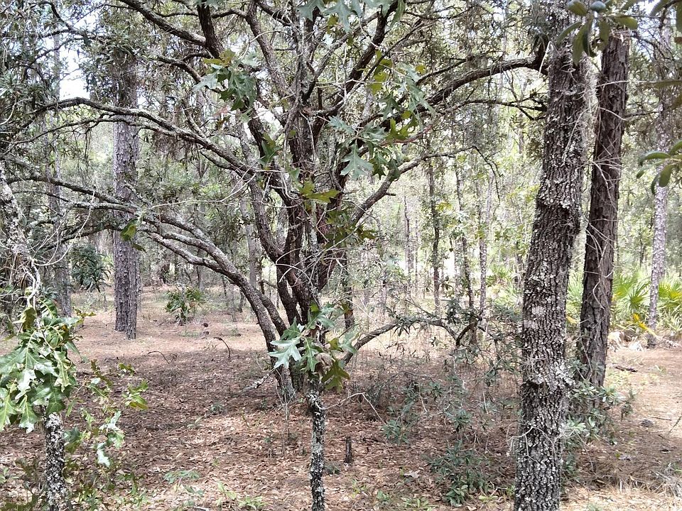 2nd image of 0 N Woodpecker Ave