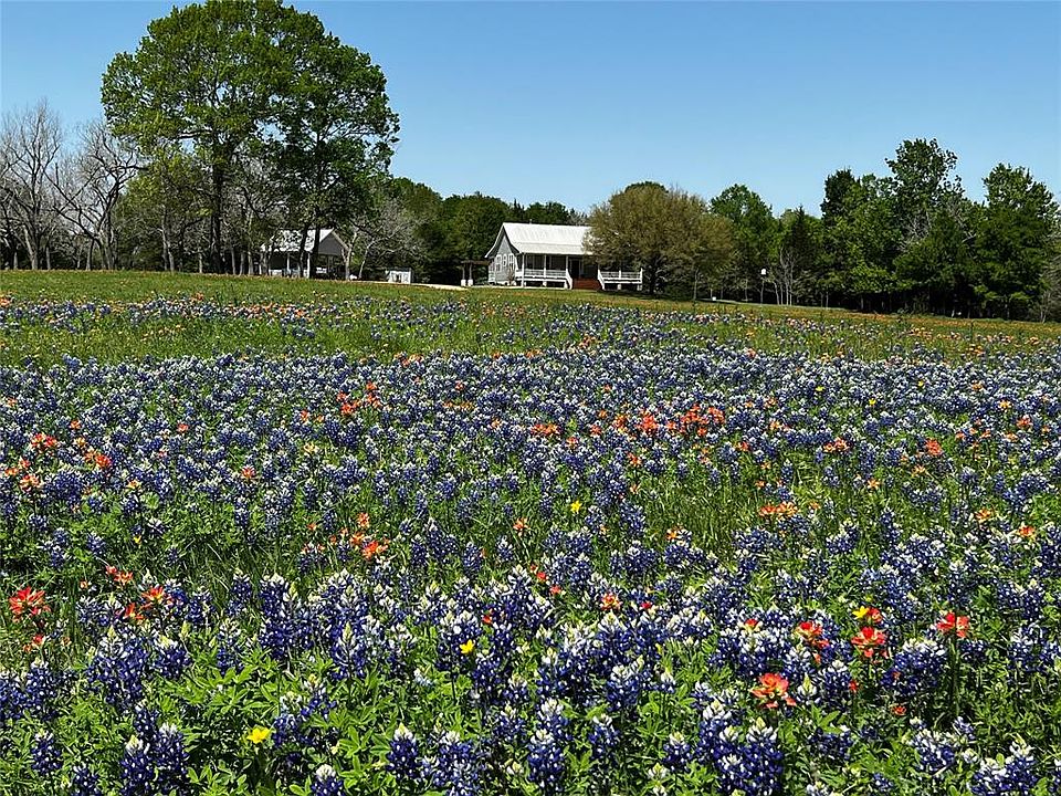 1598 Tiemann Rd, New Ulm, TX 78950 MLS 6459483 Zillow